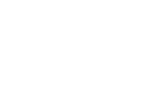 2020 Senior Show